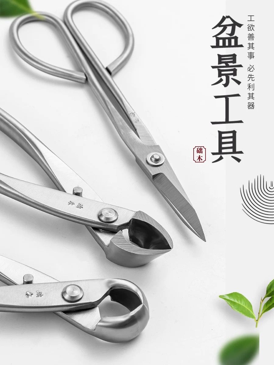Bonsai Tool Set - ชุดเครื่องมือบอนไซ (3 ชิ้น) กรรไกรตัดกิ่ง กรรไกรตัดแต่งกิ่ง ทำจากสแตนเลส