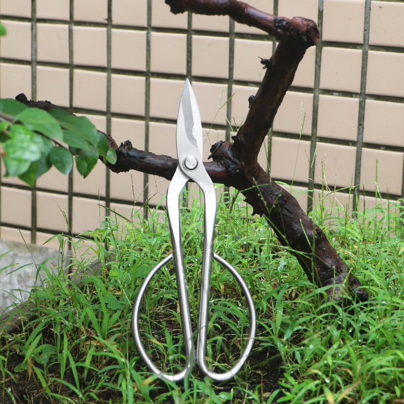 Bonsai Tool Set - กรรไกรตัดแต่งกิ่งไม้เหล็กทั้งหมด, กรรไกรตัดใบไม้, กรรไกรตัดดอกไม้, กรรไกรตัดดอกไม้บอนไซในครัวเรือน, กรรไกรตัดใบไม้, กรรไกรตัดกิ่งใบ