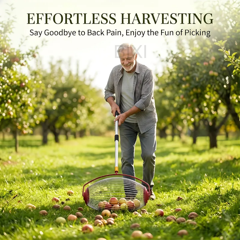 Gardening Tools Types - เครื่องเก็บเมล็ดผลไม้แบบดรัม, ลูกกลิ้งเก็บผลไม้สำหรับวอลนัท, ลูกโอ๊ก, ลูกกอล์ฟ, อุปกรณ์เก็บเกี่ยวในสวน