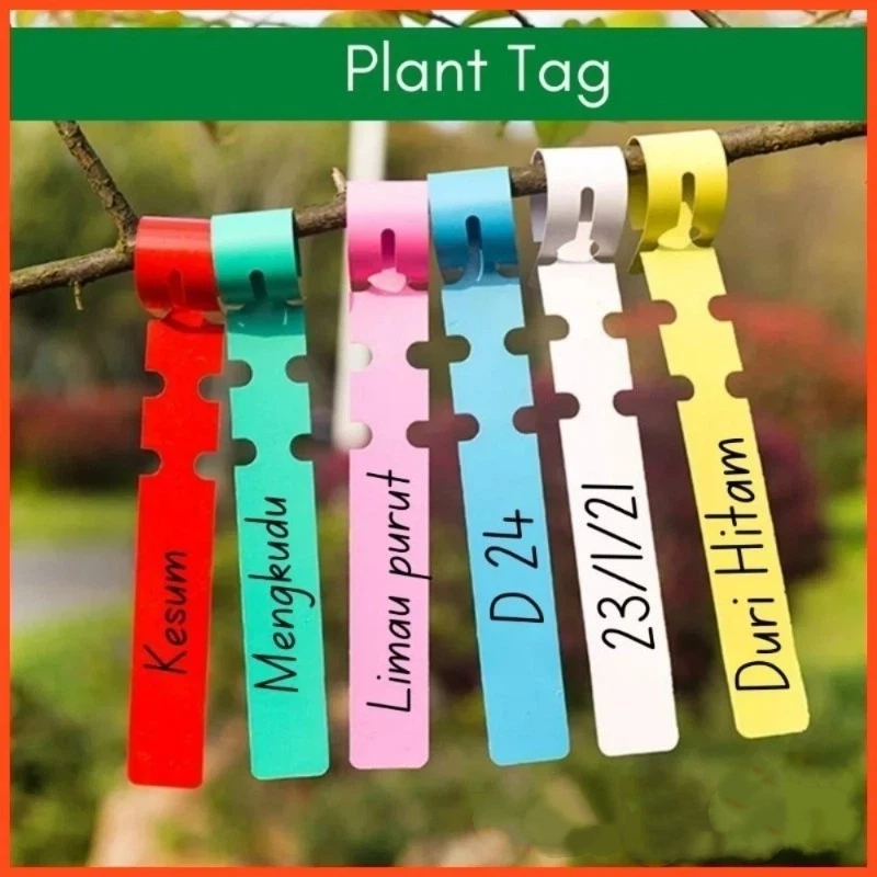 Plant Label Tags - ป้ายติดต้นไม้ / ป้ายระบุชื่อต้นไม้ / ป้ายติดต้นไม้สำหรับทำสวน /