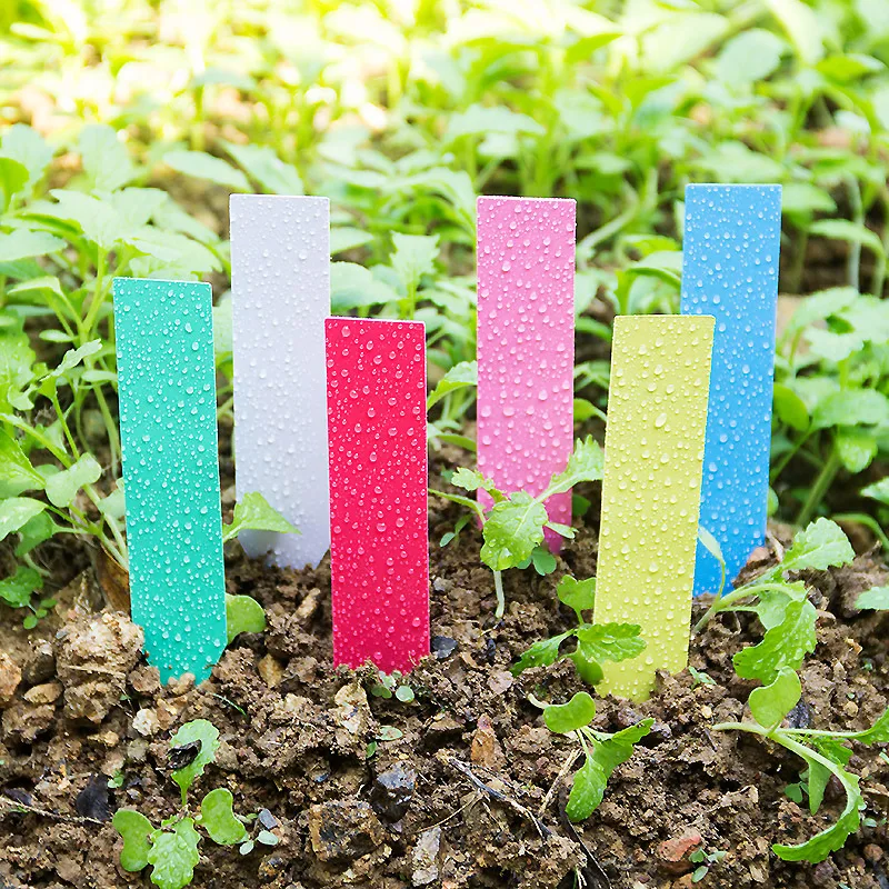 Plant Label Tags - 100Pcsหนา4นิ้วป้ายพลาสติกReusableยาวกันน้ำสวนพืชMarker Tags 5สีGrowป้าย