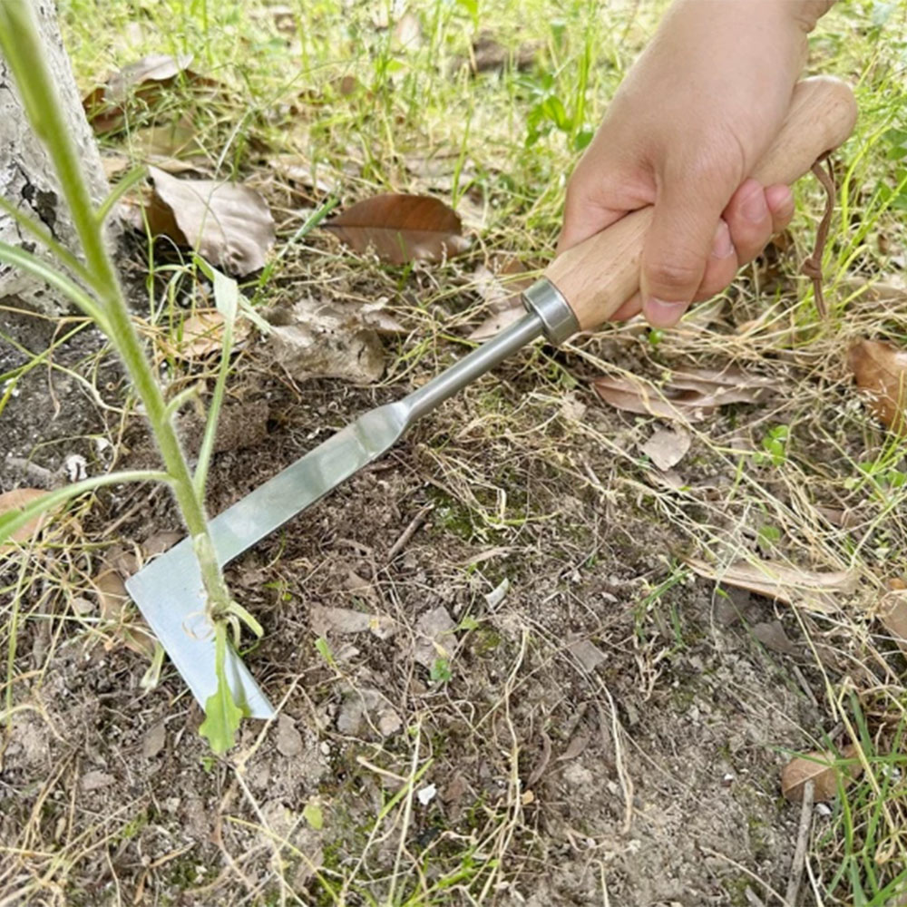 เครื่องมือกำจัดวัชพืชแบบสแตนเล - Gardening Hand Tools Yard บทวิจารณ์และราคา