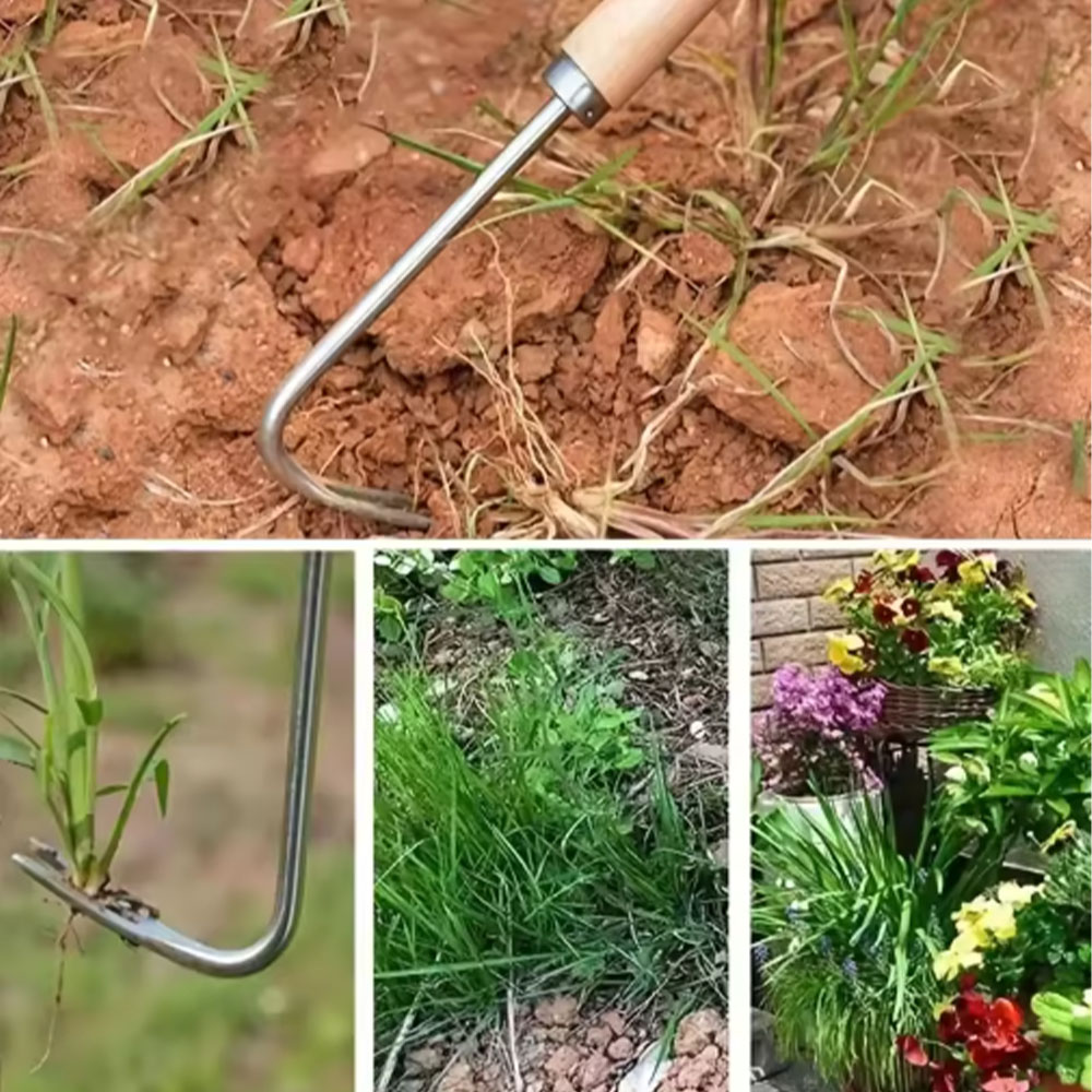 เครื่องมือกำจัดวัชพืชแบบสแตนเล - Gardening Hand Tools Yard บทวิจารณ์และราคา