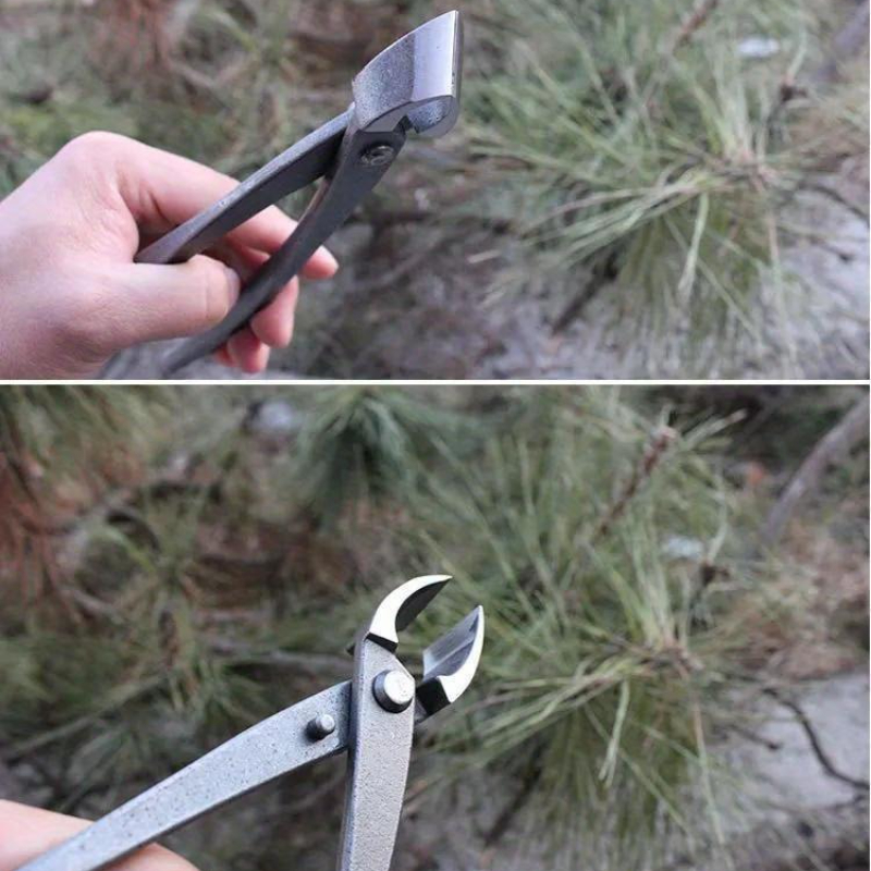 กรรไกรตัดกิ่งบอนไซแบบโค้ง 210  - Bonsai Tool Set บทวิจารณ์และราคา