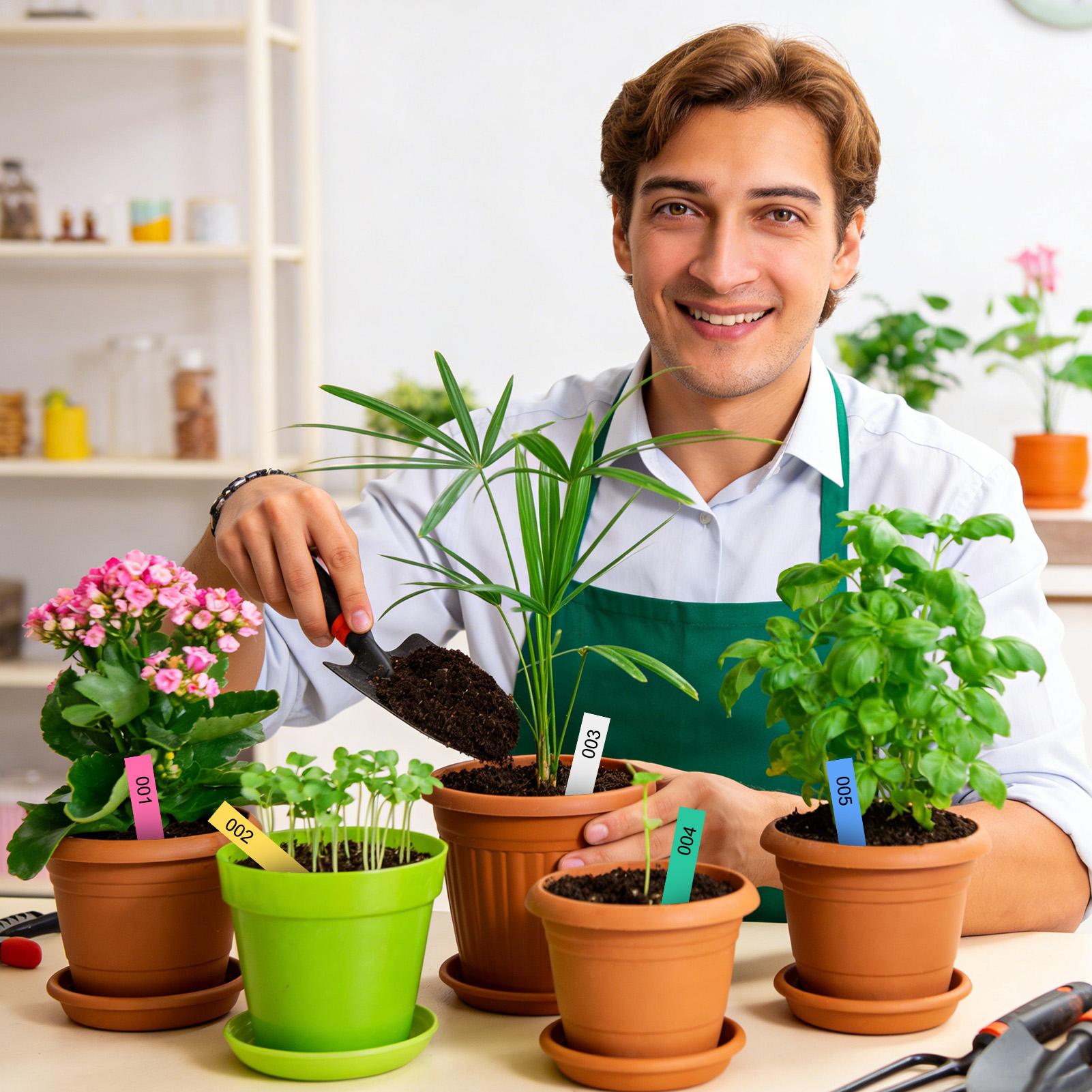 ป้ายชื่อพืช 500 ชิ้น ป้ายสวนกั - Plant Label Tags บทวิจารณ์และราคา