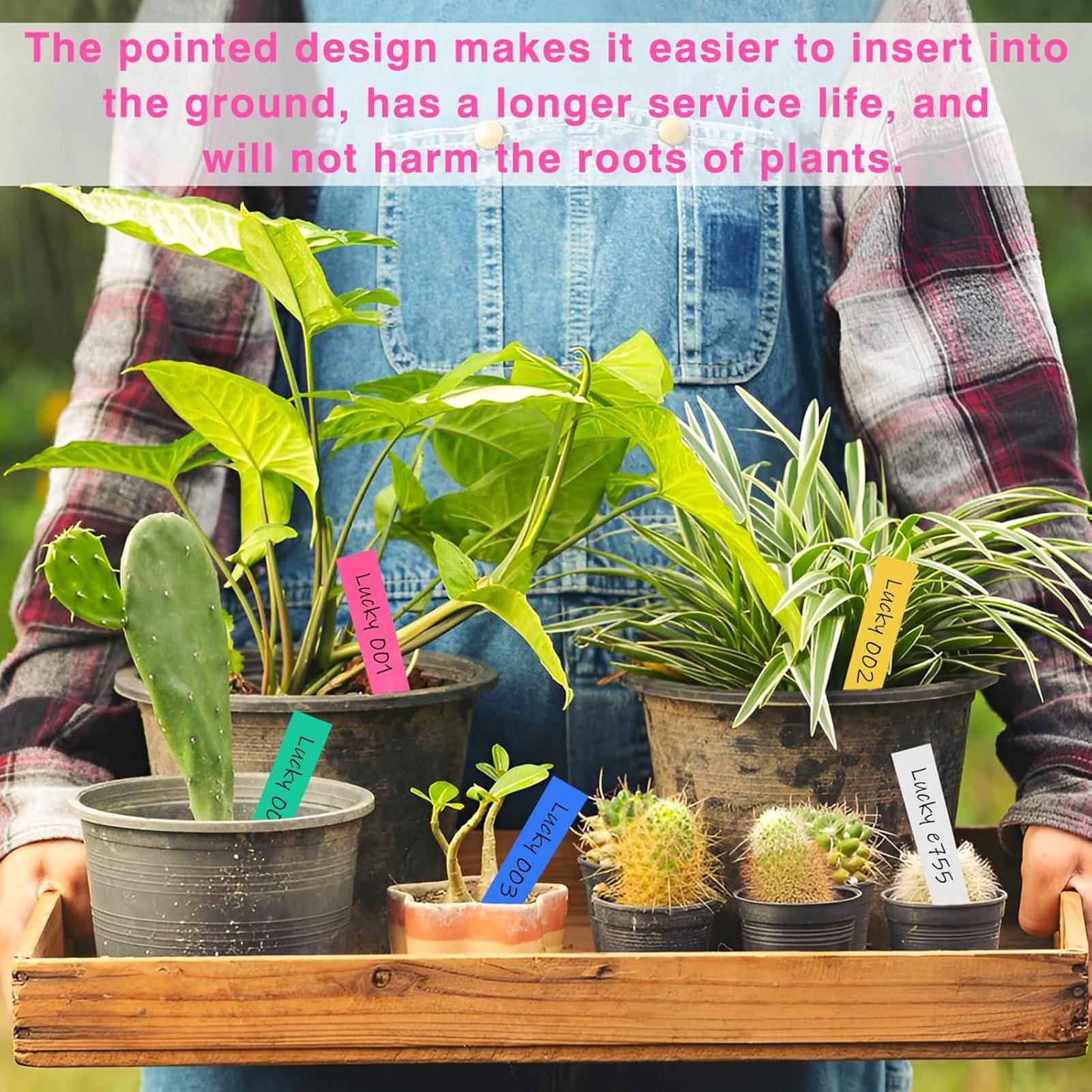 ป้ายชื่อพืช 500 ชิ้น ป้ายสวนกั - Plant Label Tags บทวิจารณ์และราคา