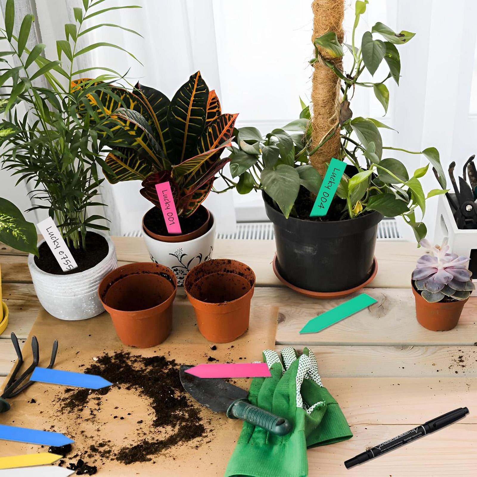 ป้ายชื่อพืช 500 ชิ้น ป้ายสวนกั - Plant Label Tags บทวิจารณ์และราคา
