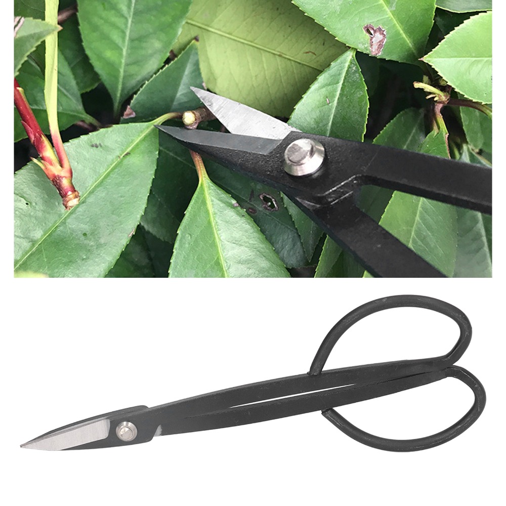 กรรไกรตัดกิ่งบอนไซสแตนเลส ด้าม - Bonsai Tool Set บทวิจารณ์และราคา