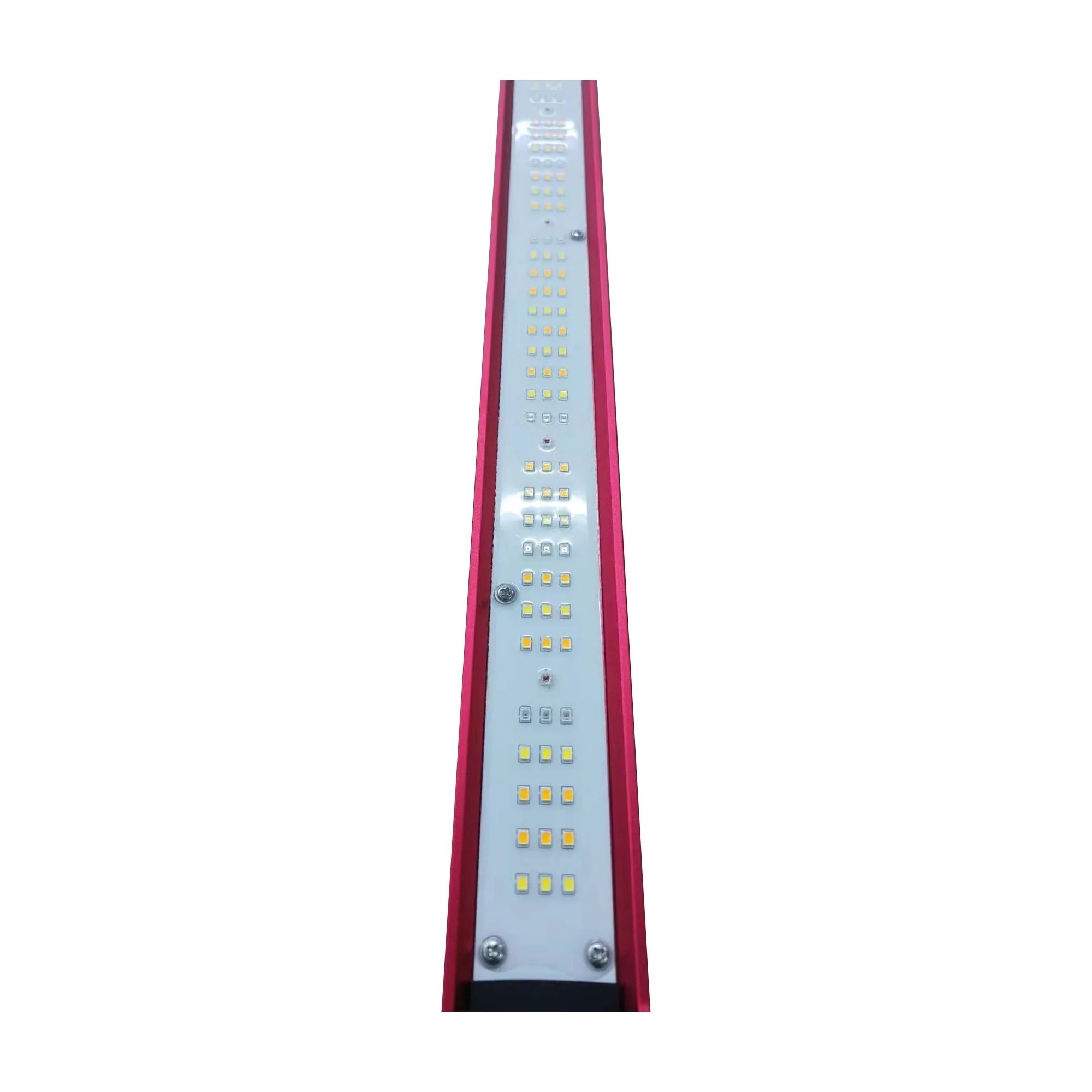 ไฟ LED สเปกตรัมเต็มสำหรับปลูกพ - Led Grow Light บทวิจารณ์และราคา