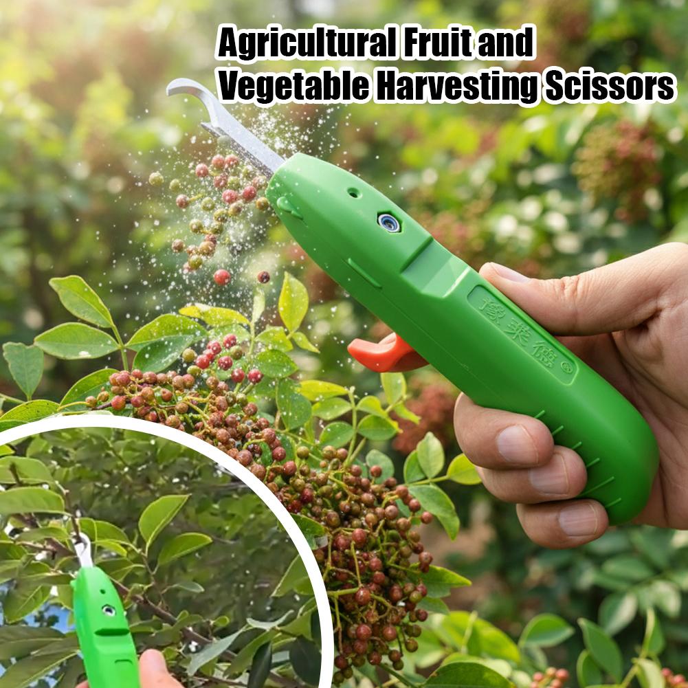 กรรไกรตัดผลไม้และผัก กรรไกรตัด - Gardening Tools Hand บทวิจารณ์และราคา