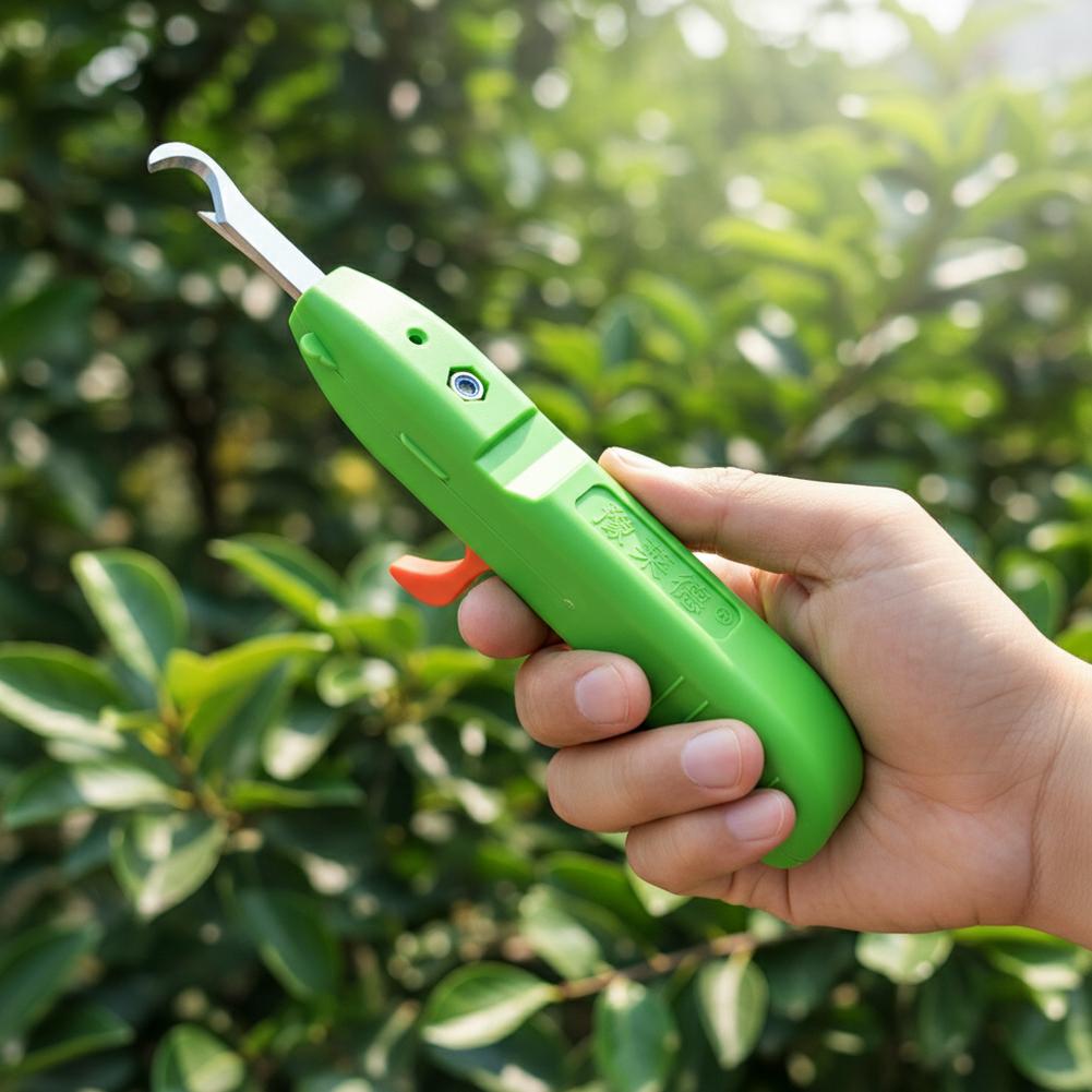 กรรไกรตัดผลไม้และผัก กรรไกรตัด - Gardening Tools Hand บทวิจารณ์และราคา