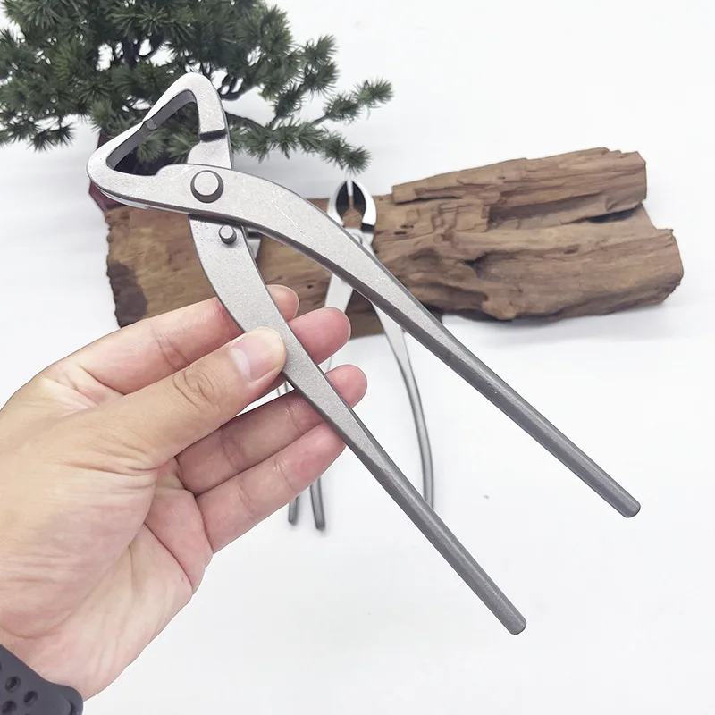 1pcs สแตนเลสสตีลบอนไซตัดแต่งกิ - Bonsai Tool Set บทวิจารณ์และราคา