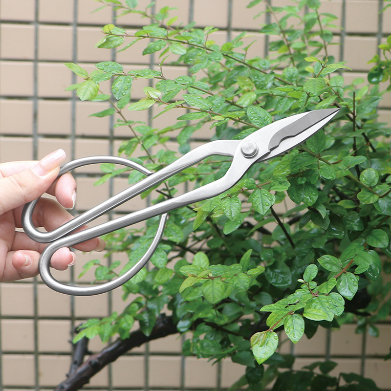 กรรไกรตัดแต่งกิ่งไม้เหล็กทั้งห - Bonsai Tool Set บทวิจารณ์และราคา