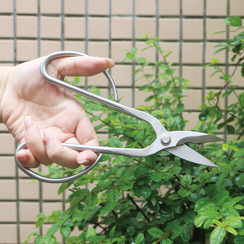 กรรไกรตัดแต่งกิ่งไม้เหล็กทั้งห - Bonsai Tool Set บทวิจารณ์และราคา