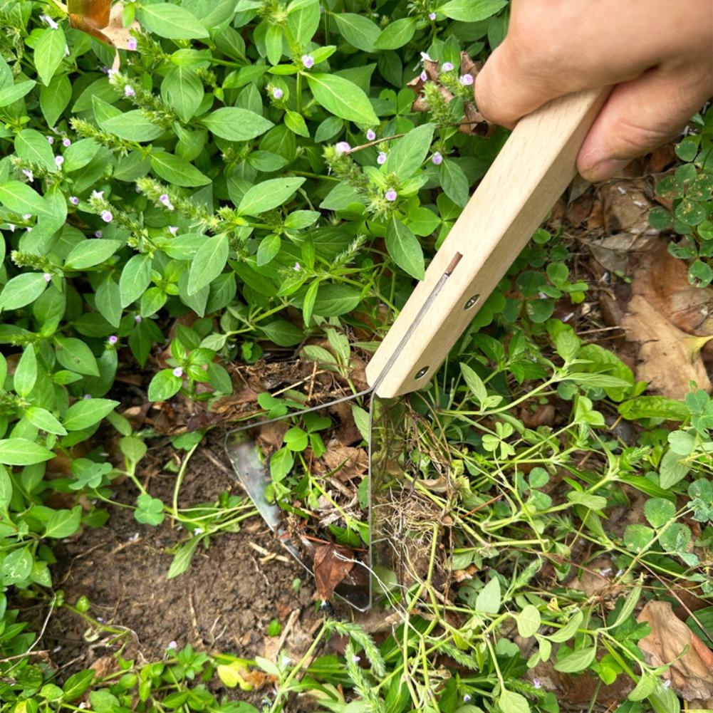เครื่องมือขูดหญ้าแบบใช้มือ ที่ - Gardening Hand Tools Yard บทวิจารณ์และราคา