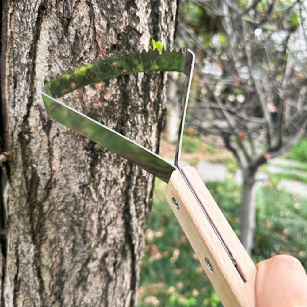 เครื่องมือขูดหญ้าแบบใช้มือ ที่ - Gardening Hand Tools Yard บทวิจารณ์และราคา