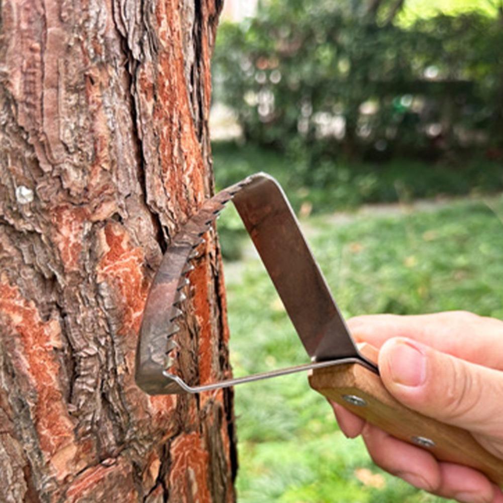 เครื่องมือขูดหญ้าแบบใช้มือ ที่ - Gardening Hand Tools Yard บทวิจารณ์และราคา