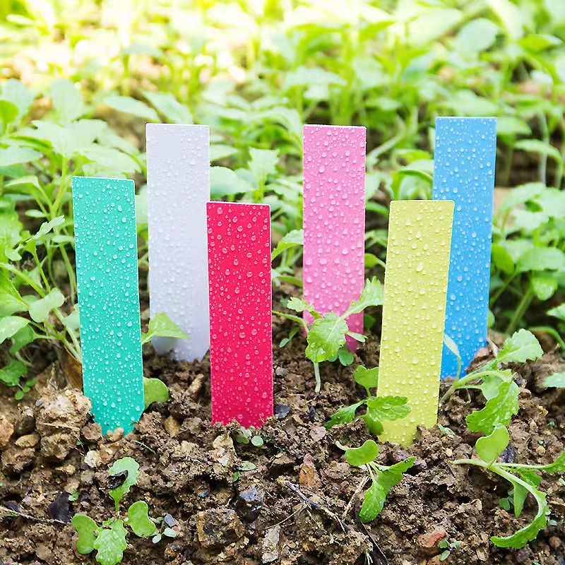 100 ชิ้นสวนป้ายโรงงานพลาสติกแท - Plant Label Tags บทวิจารณ์และราคา