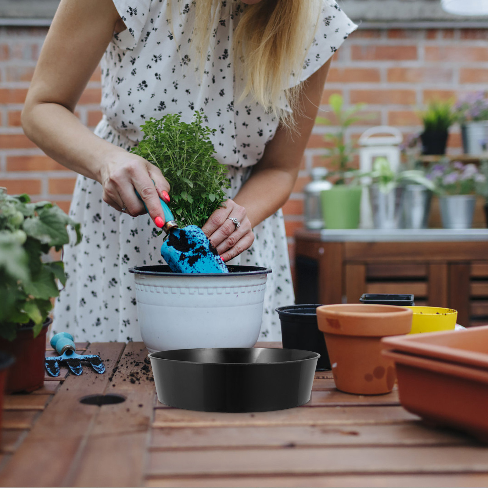 ตะแกรงร่อนดินพลาสติกทรงกลมสำหร - Garden Sieve Soil บทวิจารณ์และราคา