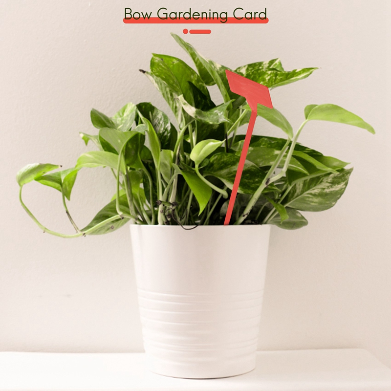 ABYP สวนเครื่องมือปลูก 50 ชิ้น - Plant Label Tags บทวิจารณ์และราคา