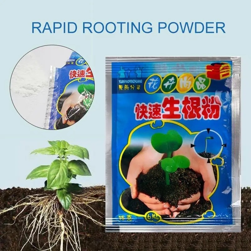 ผงเร่งราก 5 ชิ้น สารเร่งรากสำห - Root Watering Spike บทวิจารณ์และราคา