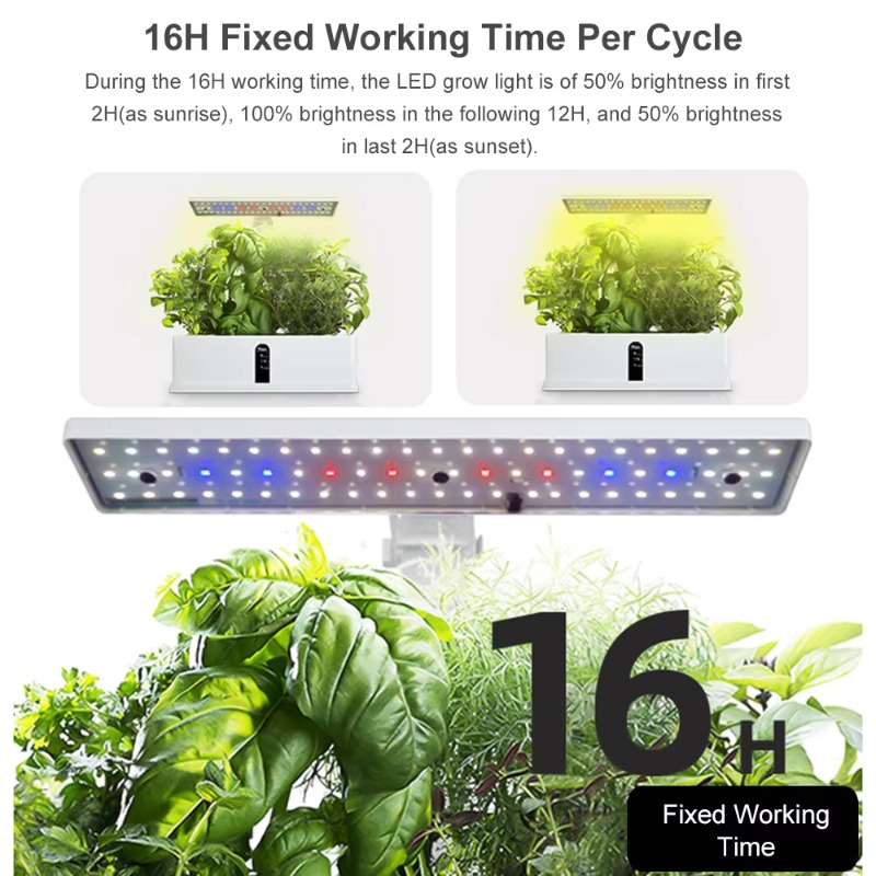 ระบบปลูกพืชไฮโดรโพนิกส์อัจฉริย - Led Grow Light บทวิจารณ์และราคา