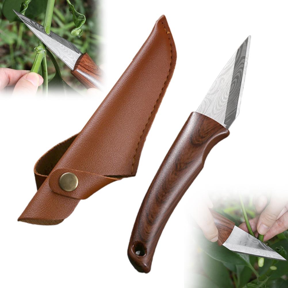 มีดต่อกิ่งก้านไม้ด้ามไม้พร้อมป - Bonsai Tool Set บทวิจารณ์และราคา