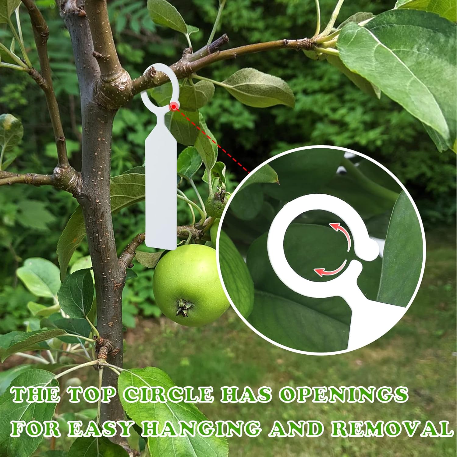 ป้ายแขวนต้นไม้พลาสติก 100 ชิ้น - Plant Label Tags บทวิจารณ์และราคา