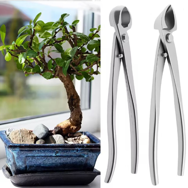 ชุดเครื่องมือทำบอนไซสแตนเลส 2  - Bonsai Tool Set บทวิจารณ์และราคา