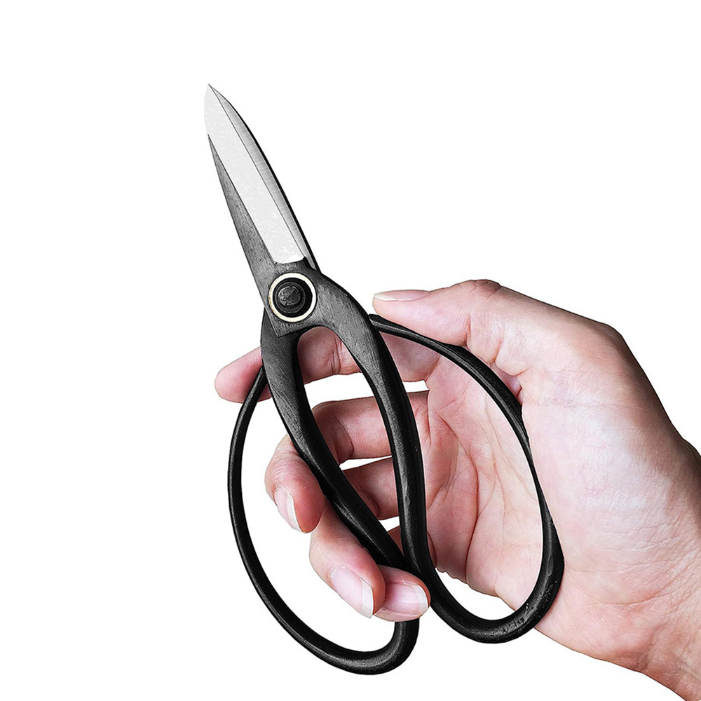 Professional Bonsai กรรไกรแบบด - Bonsai Tool Set บทวิจารณ์และราคา