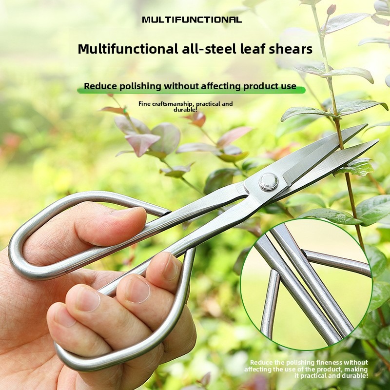 กรรไกรตัดกิ่งไม้เล็ก อุปกรณ์ทำ - Bonsai Tool Set บทวิจารณ์และราคา