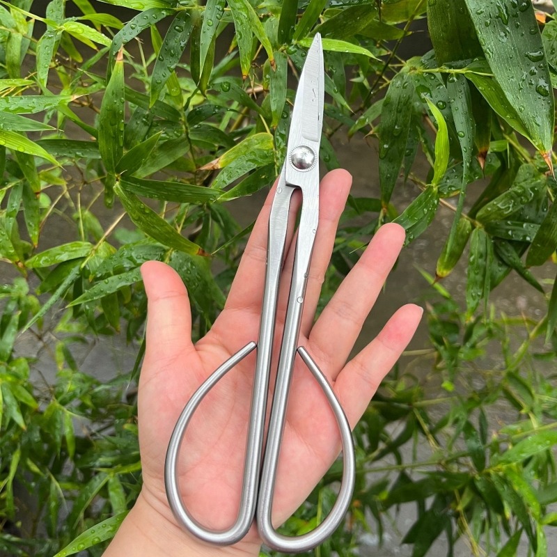 กรรไกรตัดกิ่งไม้เล็ก อุปกรณ์ทำ - Bonsai Tool Set บทวิจารณ์และราคา