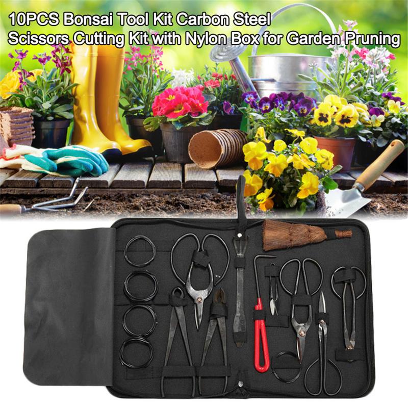 ชุดเครื่องมือบอนไซ10ชิ้นชุด gu - Bonsai Tool Set บทวิจารณ์และราคา