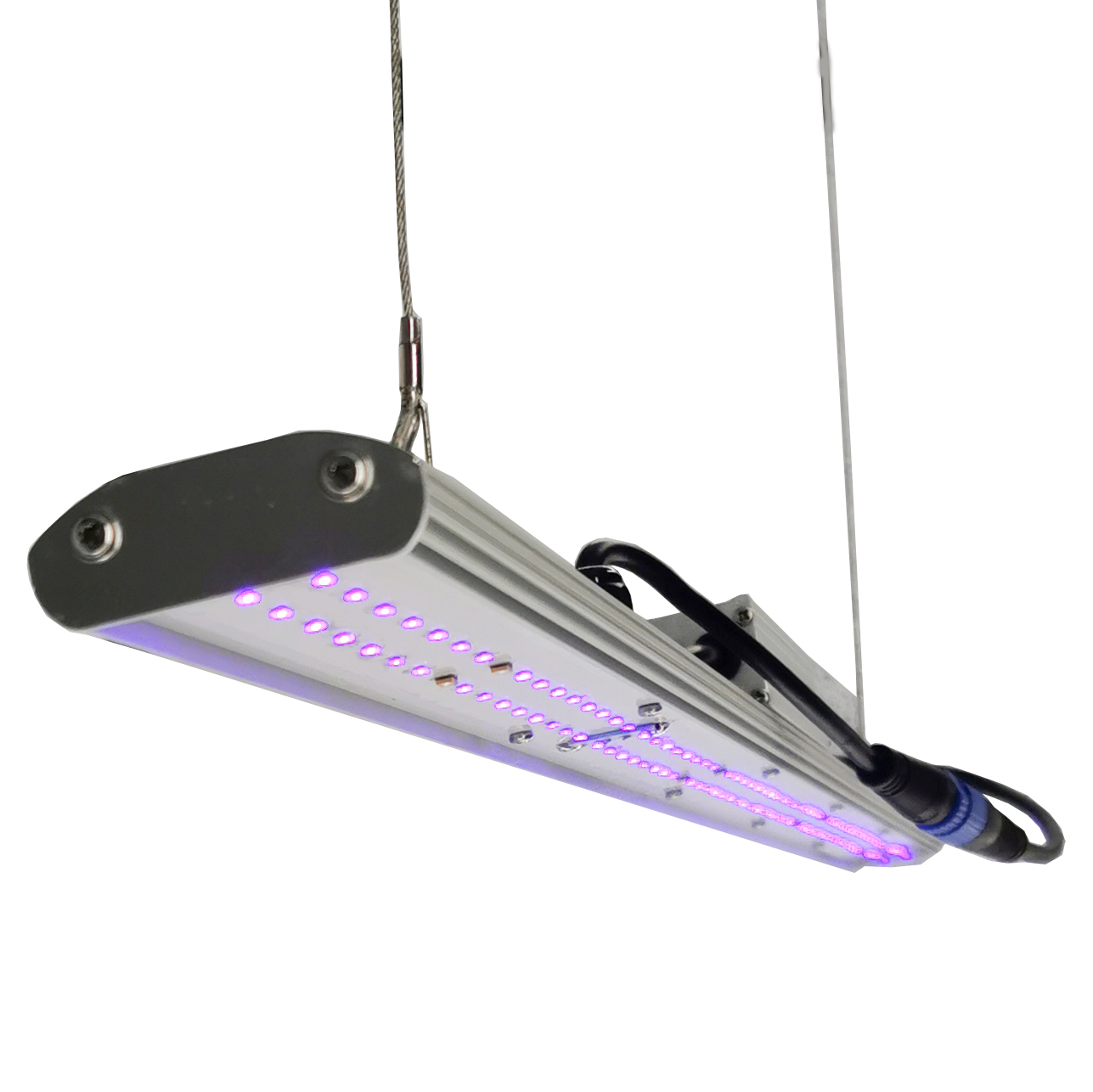 ไฟปลูกต้นไม้แบบ LED DANSE LED  - Led Grow Light บทวิจารณ์และราคา