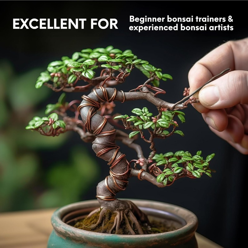 ชุดลวดฝึกบอนไซ 5 เมตร สำหรับพย - Bonsai Tool Set บทวิจารณ์และราคา
