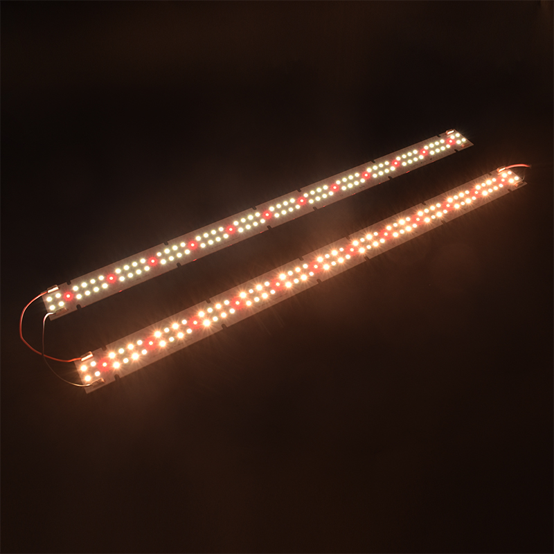 ไฟปลูกพืชแบบ COB LED คุณภาพสูง - Led Grow Light บทวิจารณ์และราคา