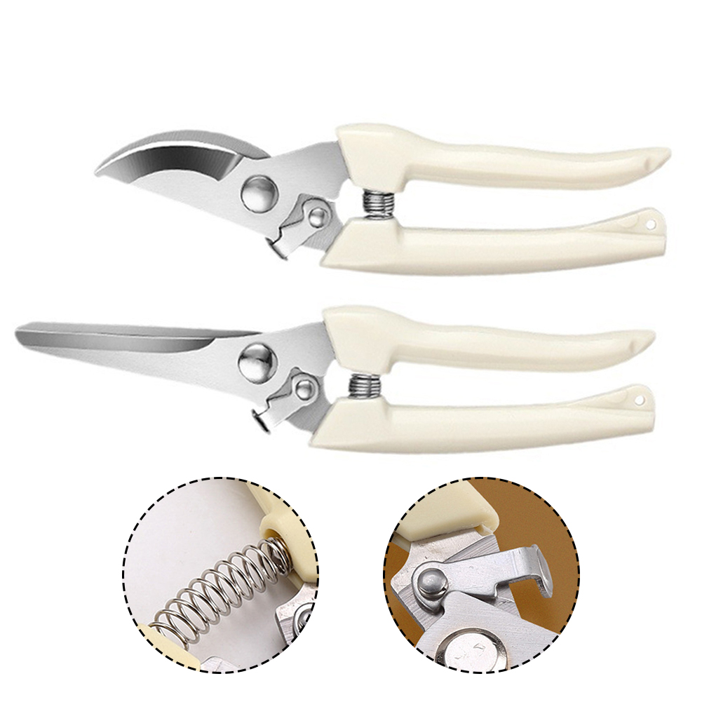 กรรไกรตัดแต่งกิ่งเครื่องมือบอน - Bonsai Tool Set บทวิจารณ์และราคา