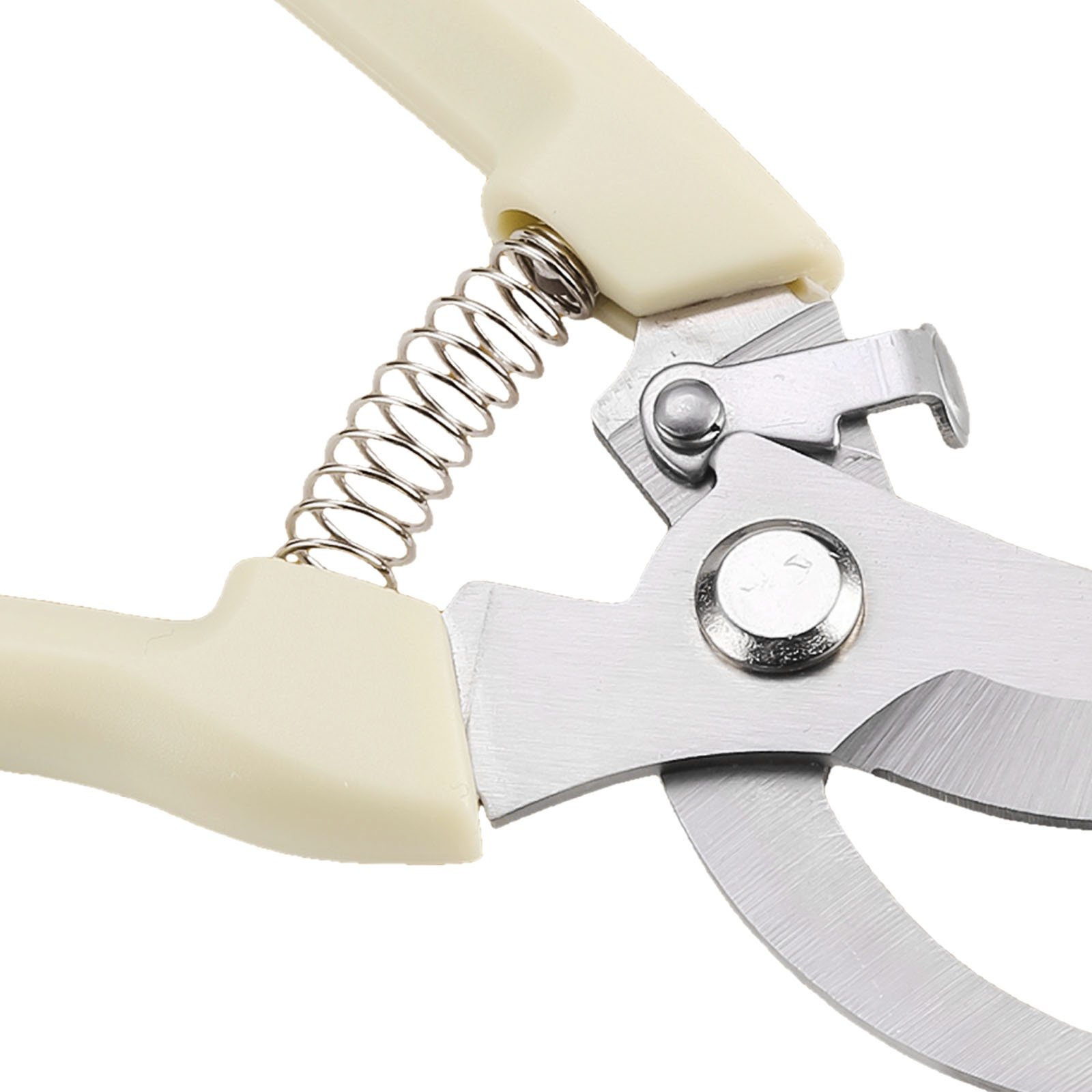 กรรไกรตัดแต่งกิ่งเครื่องมือบอน - Bonsai Tool Set บทวิจารณ์และราคา