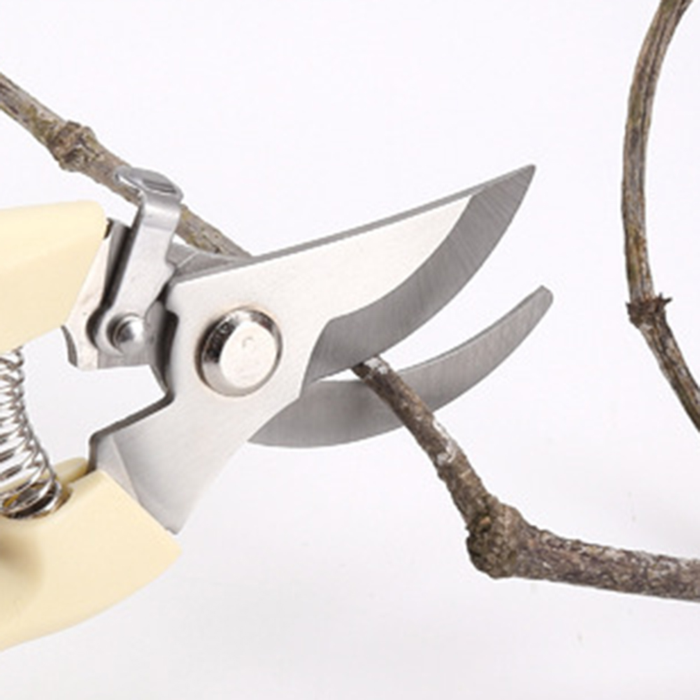 กรรไกรตัดแต่งกิ่งเครื่องมือบอน - Bonsai Tool Set บทวิจารณ์และราคา