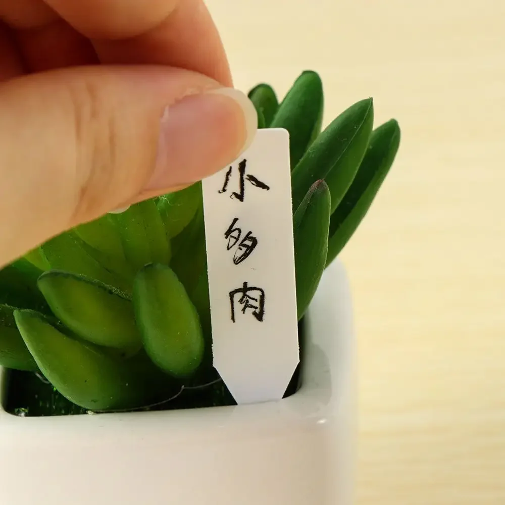 100 ชิ้นนํากลับมาใช้ใหม่การจํา - Plant Label Tags บทวิจารณ์และราคา