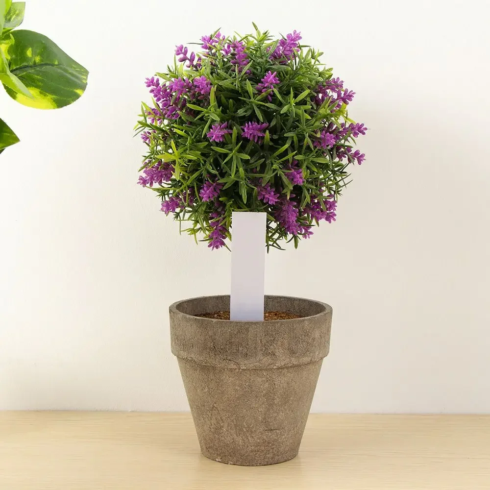 100 ชิ้นนํากลับมาใช้ใหม่การจํา - Plant Label Tags บทวิจารณ์และราคา