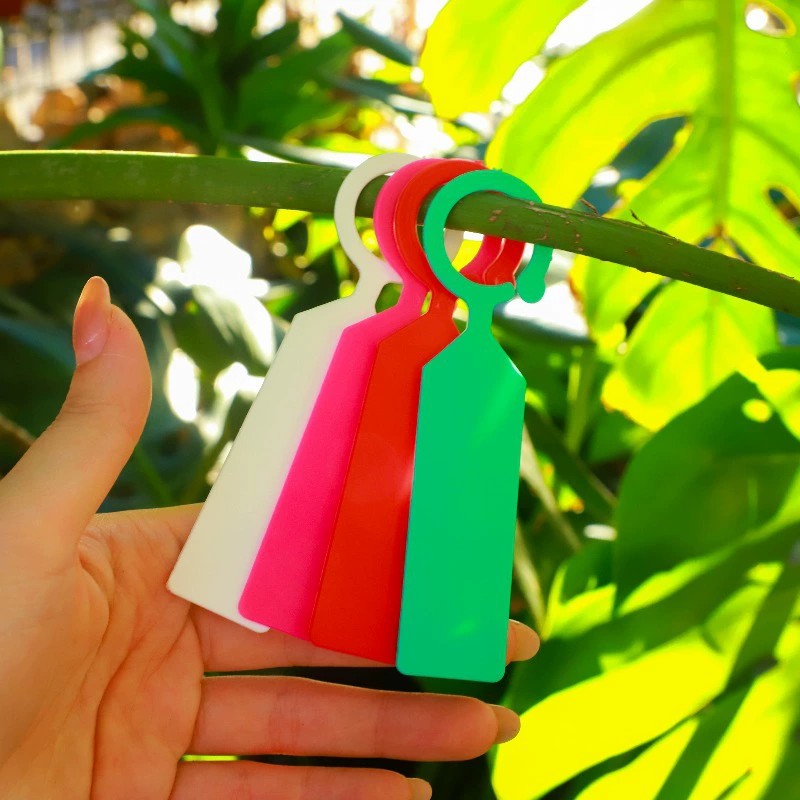 ป้ายติดต้นไม้แบบวงแหวน 100 ชิ้ - Plant Label Tags บทวิจารณ์และราคา