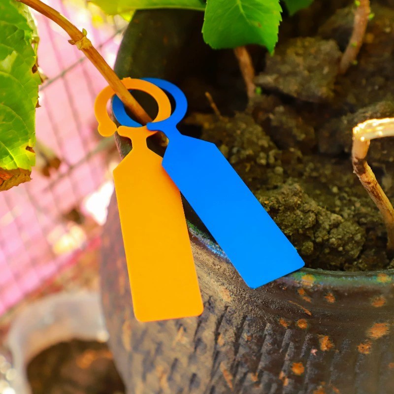ป้ายติดต้นไม้แบบวงแหวน 100 ชิ้ - Plant Label Tags บทวิจารณ์และราคา