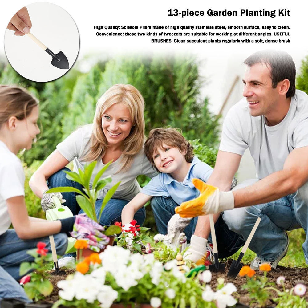 Succulentพืชเครื่องมือMini Gar - Bonsai Tool Set บทวิจารณ์และราคา