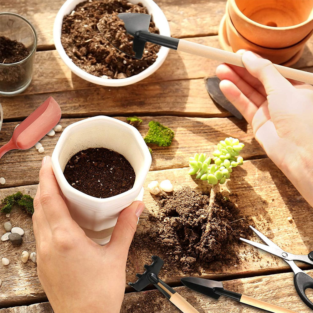 Succulentพืชเครื่องมือMini Gar - Bonsai Tool Set บทวิจารณ์และราคา