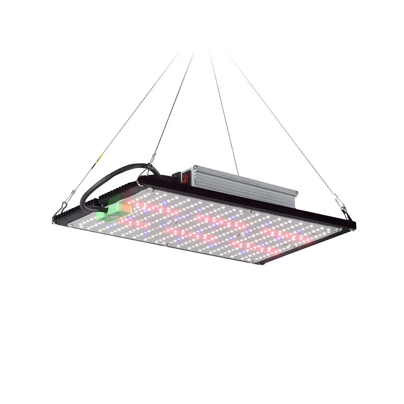 ไฟปลูกต้นไม้ LED แบบควอนตัมบอร - Led Grow Light บทวิจารณ์และราคา