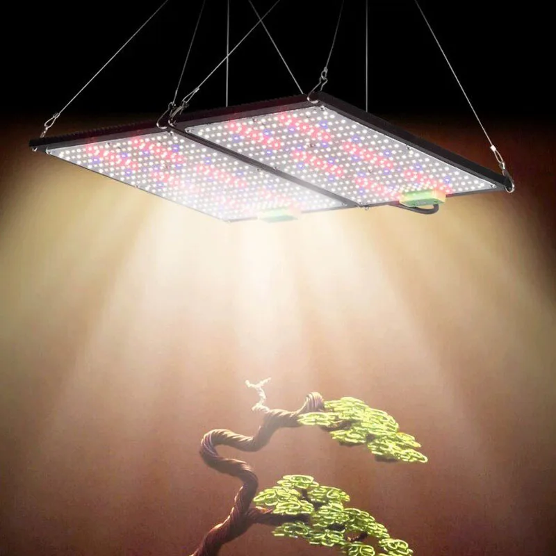 ไฟปลูกต้นไม้ LED แบบควอนตัมบอร - Led Grow Light บทวิจารณ์และราคา