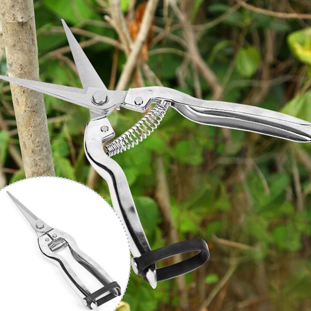 กรรไกรตัดแต่งกิ่ง กรรไกรทำสวน  - Gardening Hand Tools Yard บทวิจารณ์และราคา
